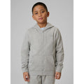 Boy's regular hooded sweatshirt 4F 4FJRMM00TSWSM2747-25M