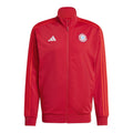 Sweatshirt adidas Bayern Munich DNA TT M IT4154 Clothing/Football Adidas