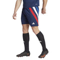 Shorts adidas Fortore 23 M IK5729 Clothing/Football Adidas