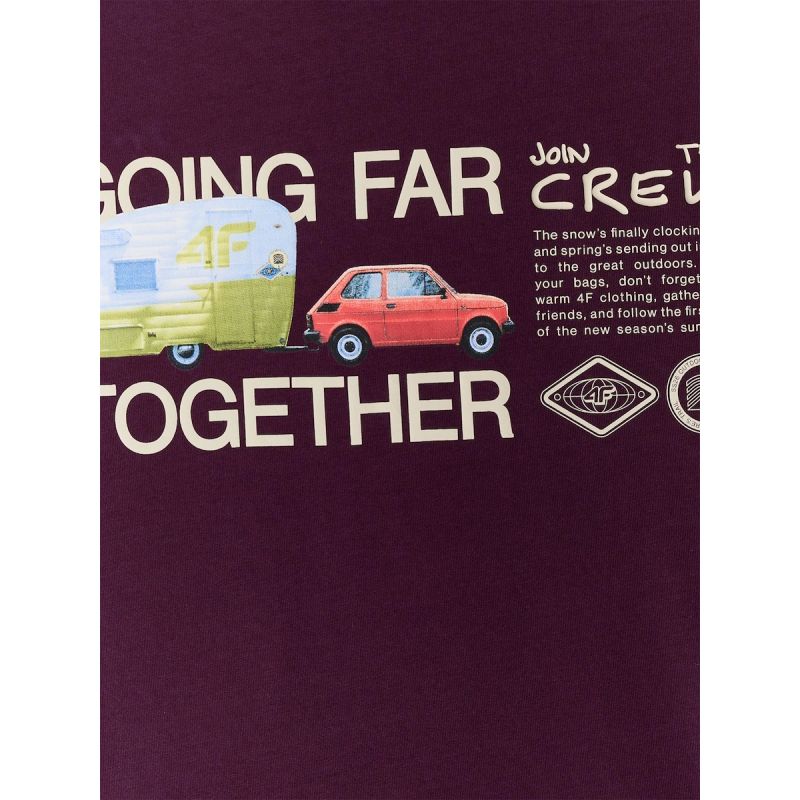 Men's regular printed T-shirt 4F 4FRSS26TTSHM3810-50S 4f