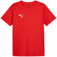 Puma teamRISE Matchday Jersey M 706132 01 Clothing/Football Puma