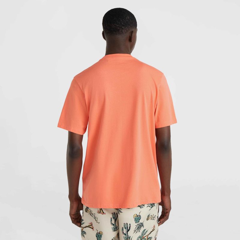 O'Neill Mix & Match Wave T-Shirt M 92800613917 ONeill