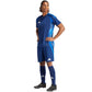 Adidas Tiro 24 Competition Match M shorts IQ4754 Clothing/Football Adidas