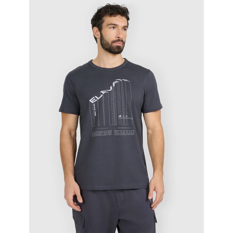 Men's regular printed T-shirt 4F 4FRAW25TTSHM3845-22S 4f