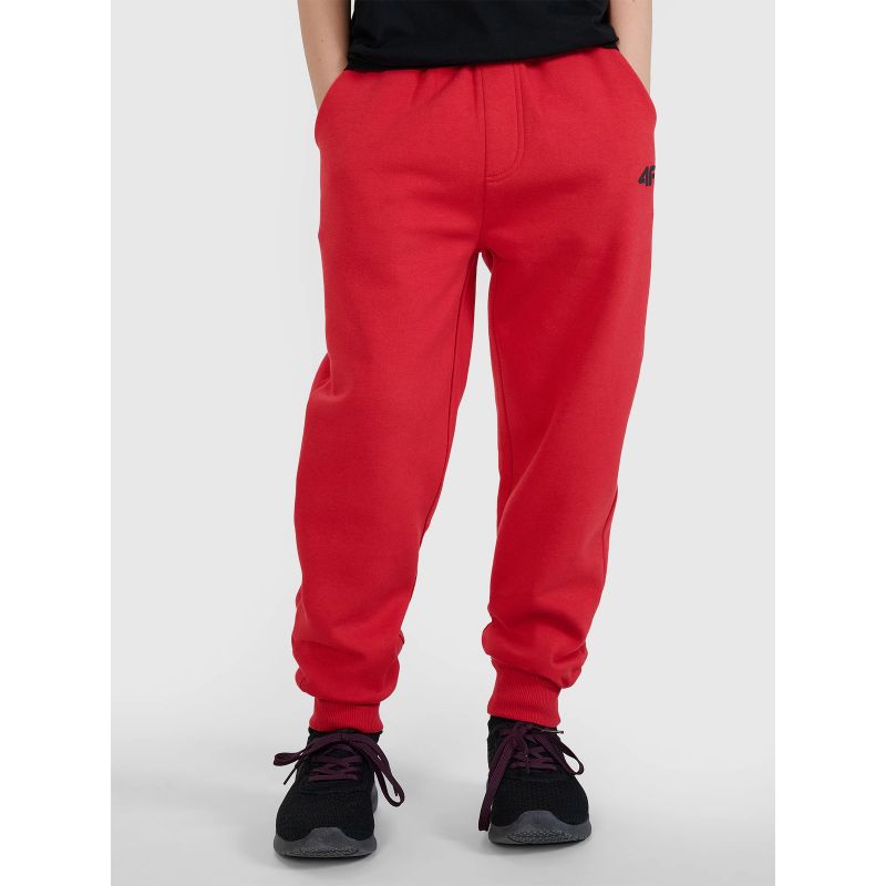 Boys' joggers sweatpants 4F 4FJWSS25TTROM1112-62S *Kategoria tymczasowa Your Sports Performance