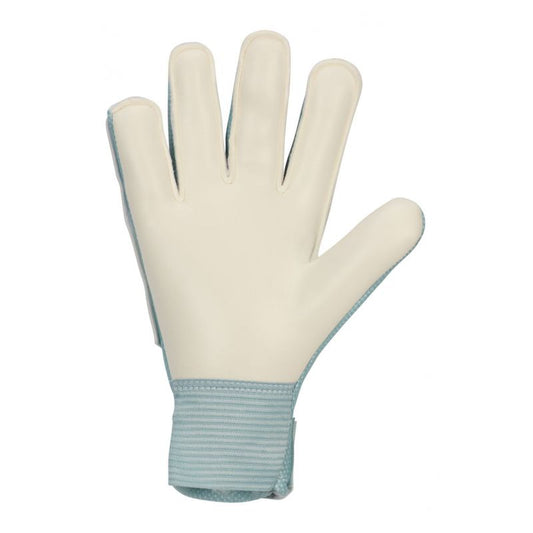 Nike Match Jr Goalkeeper Gloves HQ0258-395 Accessories/Gloves Your Sports Performance