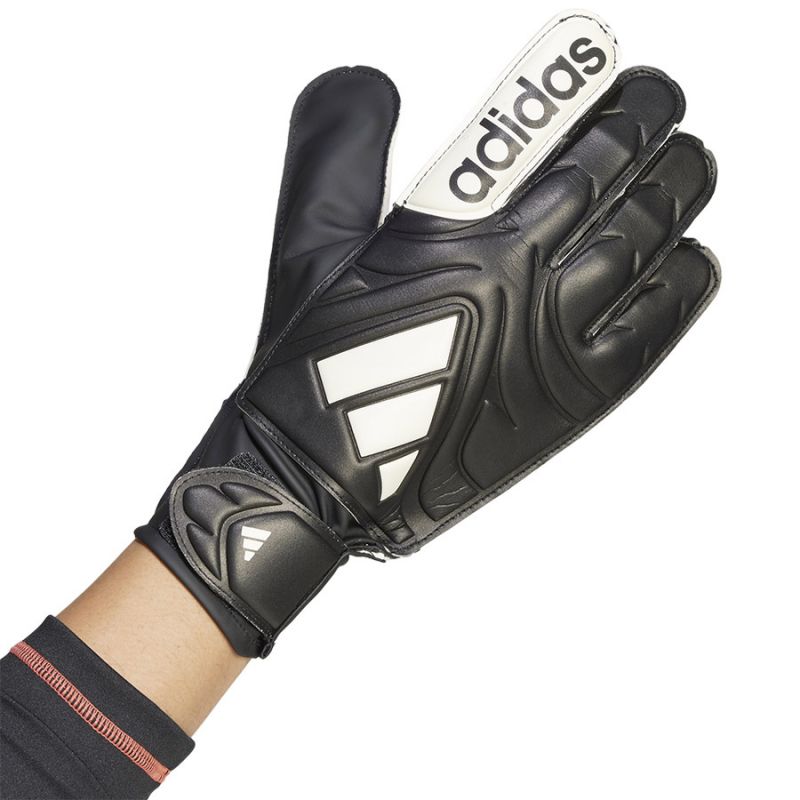 Adidas Copa GL Club M JY0625 Gloves Accessories/Gloves Adidas