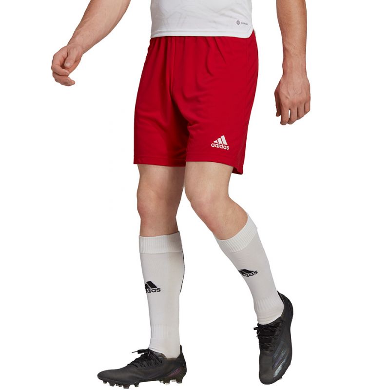 Adidas Entrada 22 M H61735 shorts Clothing/Football Adidas
