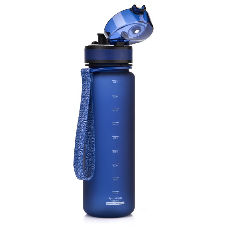 Meteor 650 ml navy blue sports bottle