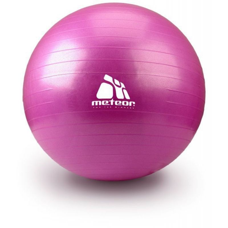 Meteor Gymnastics Ball 55 cm Pink 31170 Accessories/Training equipment Your Sports Performance