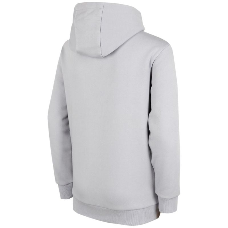 Sweatshirt 4F Jr. HJZ22 JBLD003 27S Clothing/Training 4F
