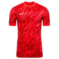 Nike Gardien VM T-shirt FD7482-644 Clothing/Football Nike