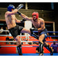 10oz Boxing Gloves - Classic White - Origin Series rękawice treningowe Your Sports Performance