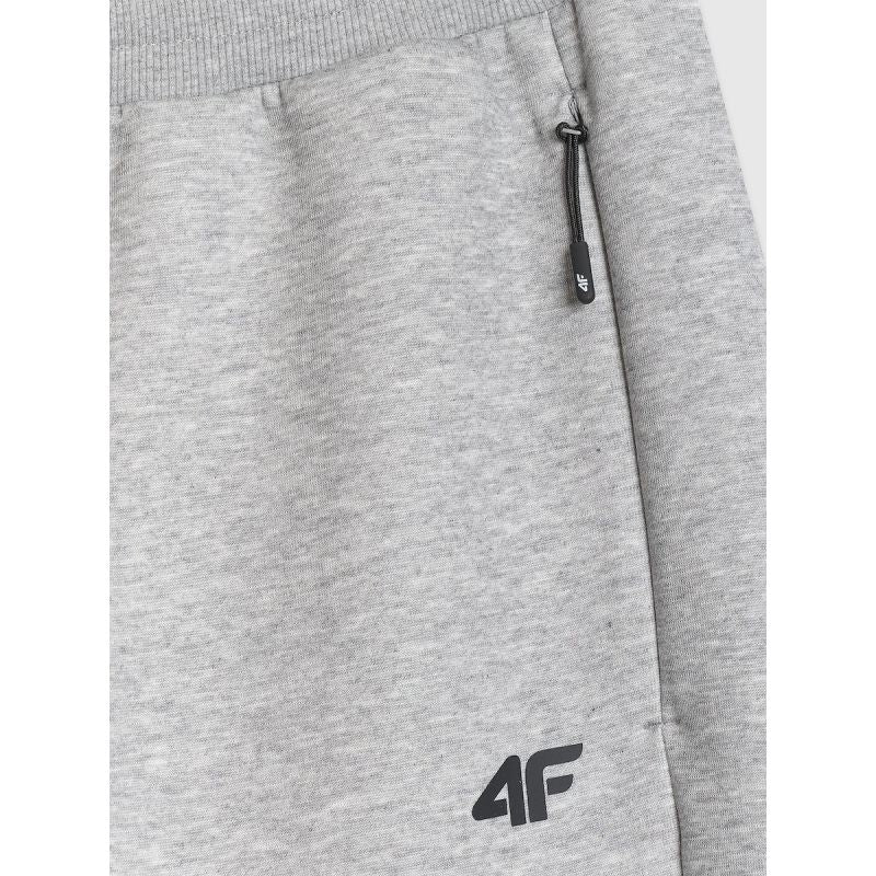 Men's jogger sweatpants 4F 4FRMM00TTROM1623-27M 4f