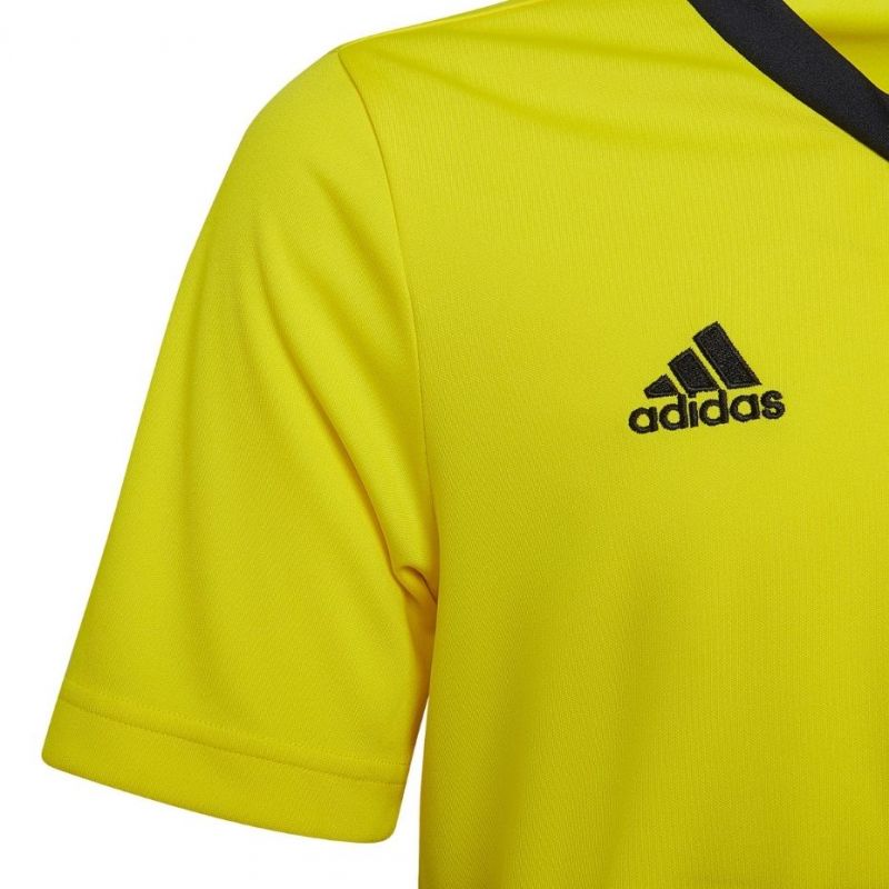 T-shirt adidas Entrada 22 Jersey Jr HI2127 Clothing/Training Adidas