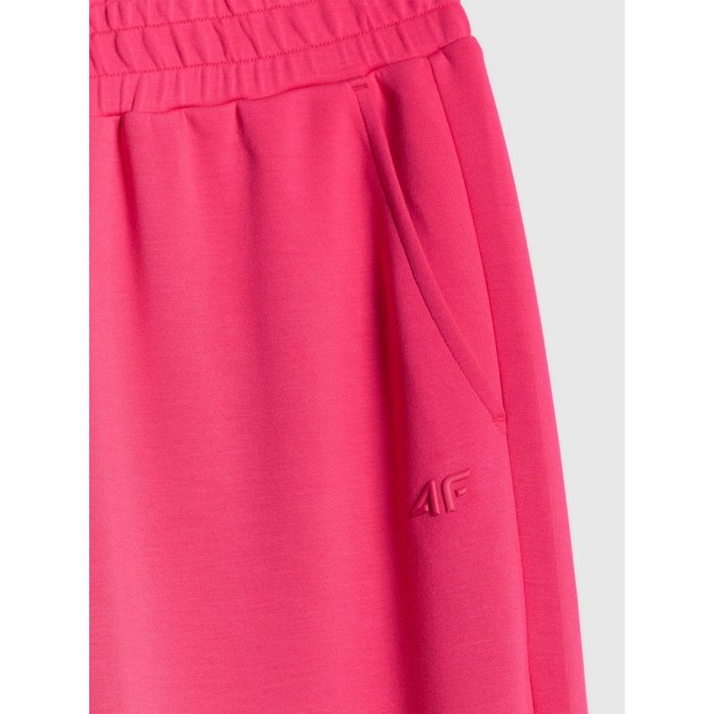 Trousers cas 4F 4FRSS26TTROF1974-53S 4f
