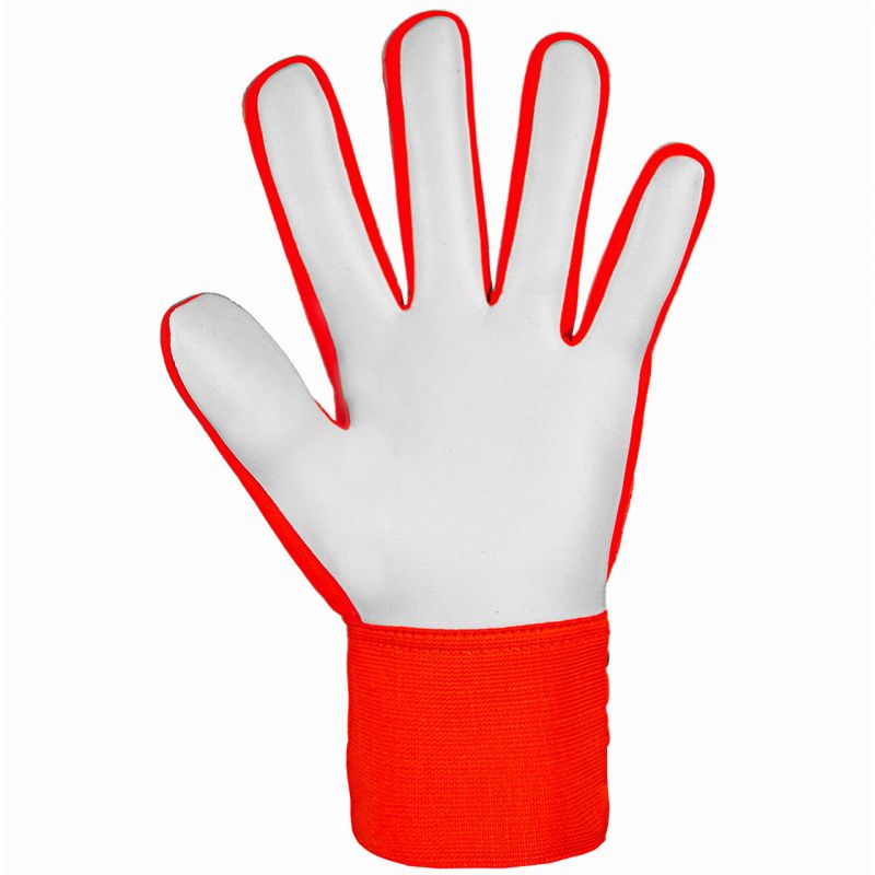Reusch Attrakt Starter Solid Jr goalkeeper gloves 5472514 2210 Accessories/Gloves Your Sports Performance