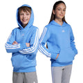 adidas Essentials Hoodie 225 Blue JN2424 Clothing Your Sports Performance