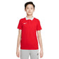 Nike Dri-FIT Park Jr CW6935-657 polo shirt Clothing/Football Nike