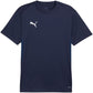 Men's Puma TeamGoal Jersey navy blue 658636 06 In preparation Your Sports Performance