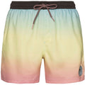 Men’s PROTEST QUINTIN beach shorts