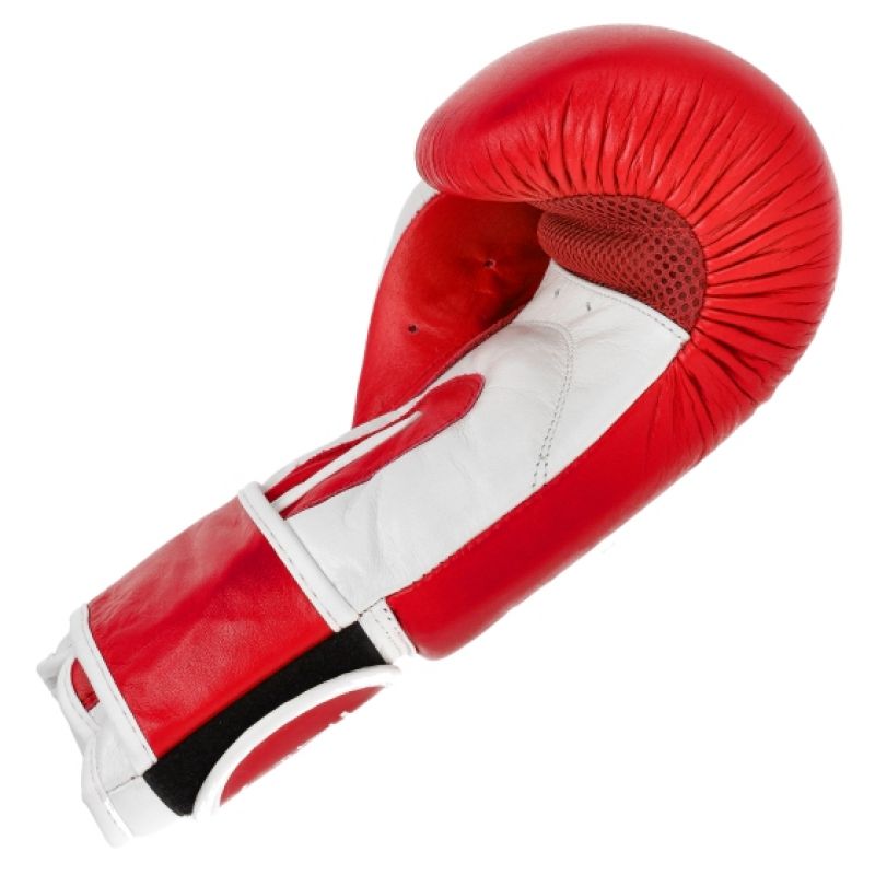 Leather boxing gloves MASTERS RBT-TRW 01210-02 Accessories/Gloves Your Sports Performance