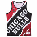Mitchell & Ness NBA Chicago Bulls Jumbotron Framed Basketball Jersey Koszulki NBA Your Sports Performance