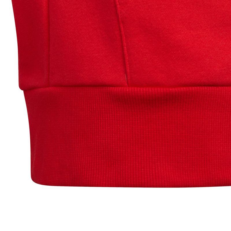 Adidas Colorblock Fleece Hoodie Jr HC5657 sweatshirt Clothing/Training Adidas