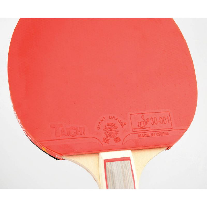 Giant Dragon 3★ N8031 Table Tennis Racket Accessories/Rackets and accessories Your Sports Performance