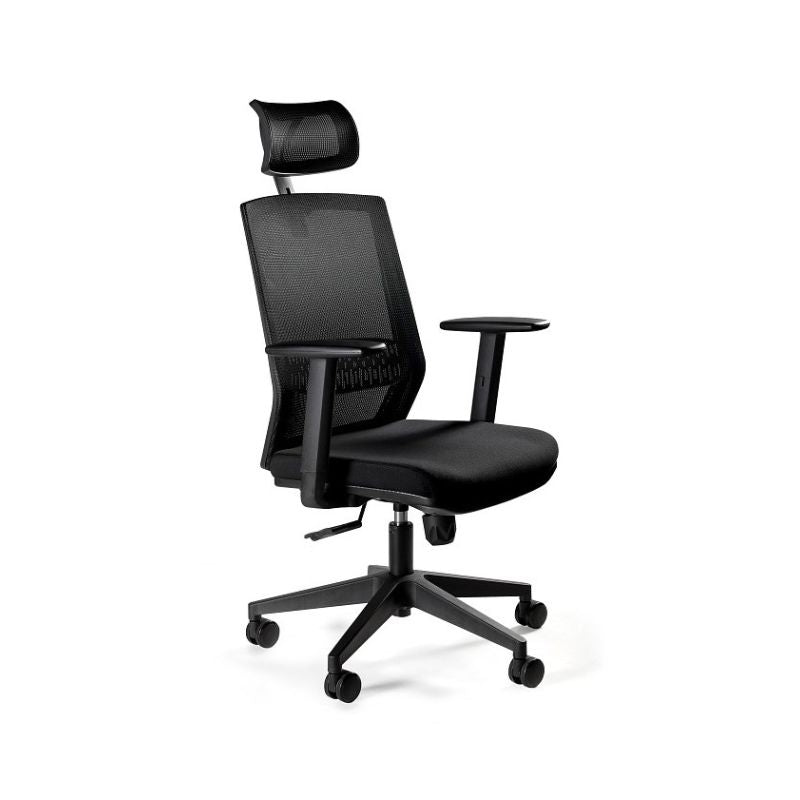 Ergonomic ESTA office chair, black Fotele/Fotele biurowe Your Sports Performance