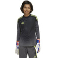 adidas TIRO 25 Competition GK JSY JN2019 sweatshirt Clothing Your Sports Performance