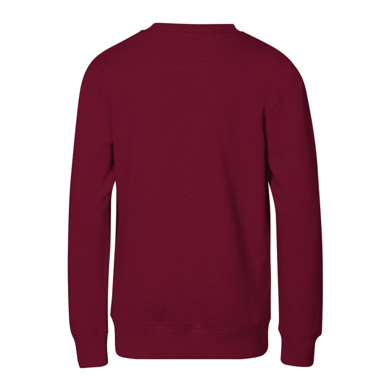 Children's Crew Sweatshirt (garnet) Malfini