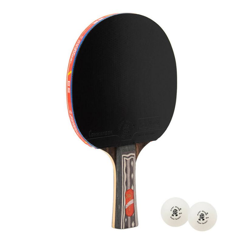 Giant Dragon 9★ N8091 Table Tennis Racket Accessories/Rackets and accessories Your Sports Performance