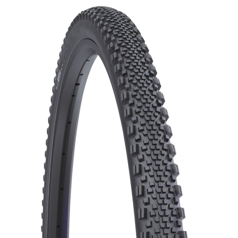 WTB Tire 700x40c RADDLER TCS LFS 120TPI SG2 In preparation Your Sports Performance