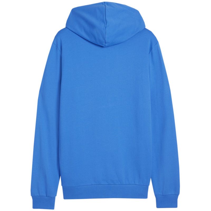 Puma Team Goal Casuals Hoody M 658618 02 Clothing/Training Puma