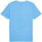 Puma Ess No.1 Logo Tee (s) M 682533 57 Clothing/Lifestyle/T-shirts Puma