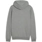Puma Team Goal Casuals Hooded M 658595 33 sweatshirt Clothing/Football Puma