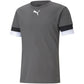 T-shirt Puma teamRISE Smoked M 704932 13 Clothing/Training Puma