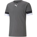T-shirt Puma teamRISE Smoked M 704932 13 Clothing/Training Puma