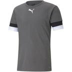 T-shirt Puma teamRISE Smoked M 704932 13 Clothing/Training Puma
