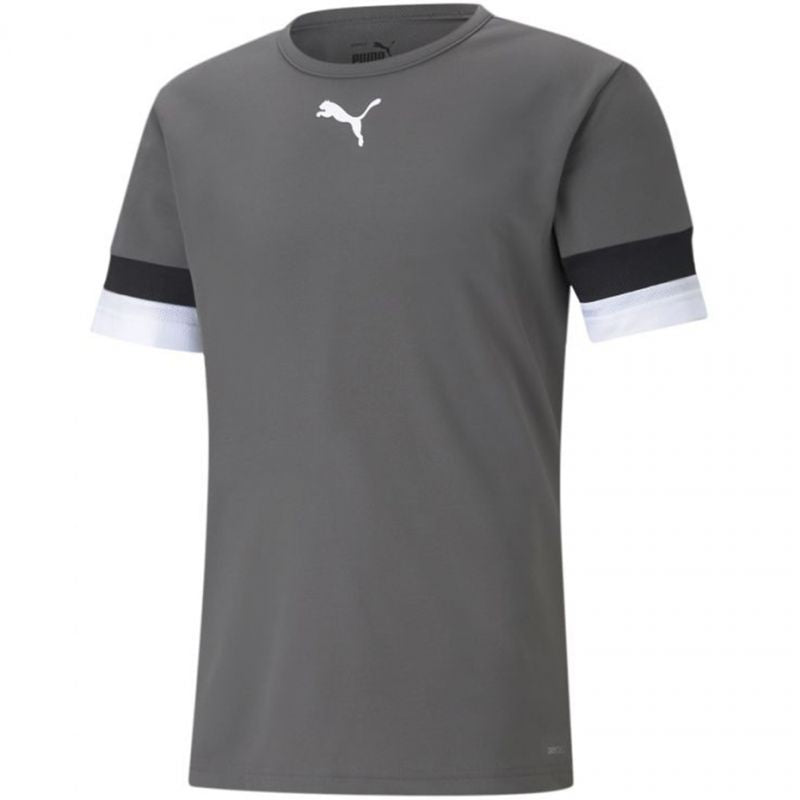 T-shirt Puma teamRISE Smoked M 704932 13 Clothing/Training Puma