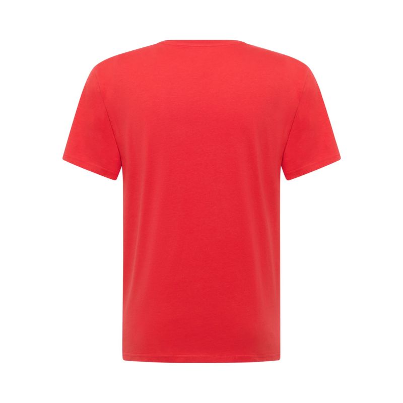 Mustang men's t-shirt AUSTIN 1017379 7270 Mustang