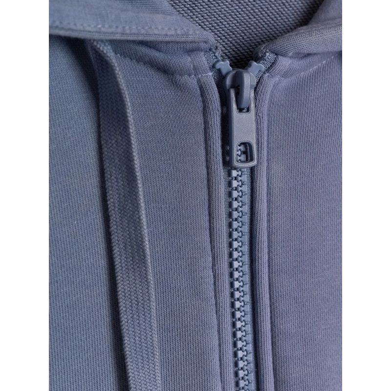 Women's relaxed sweatshirt with hood 4F 4FRAW26TSWSF3104-32S