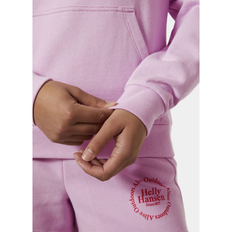 Helly Hansen Core Graphic Hoodie W 54239 052 Clothing/Outdoor/Helly Hansen Your Sports Performance