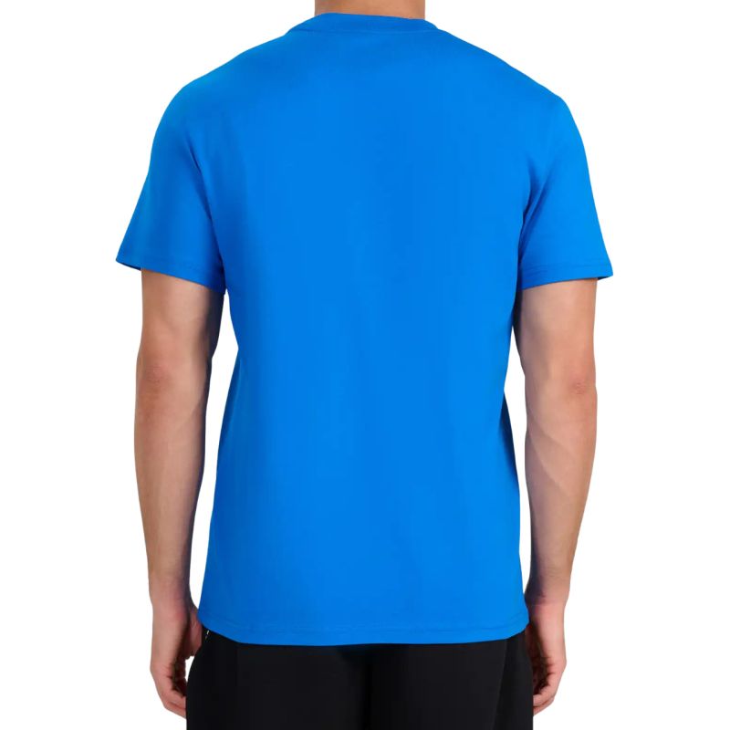 Men's T-shirt 4F M3342 blue 4FWMM00TTSHM3342 33S