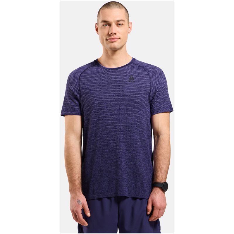 Men’s Odlo ESSENTIAL SEAMLESS T-shirt, crew neck, long sleeve, blue