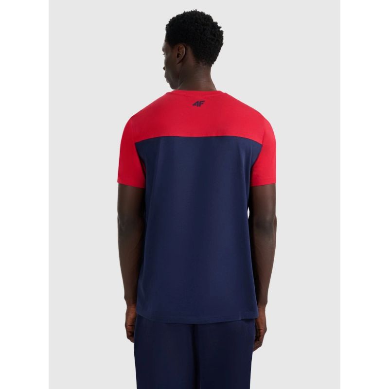 Men's regular printed T-shirt 4F 4FRAW25TTSHM3292-31S 4f