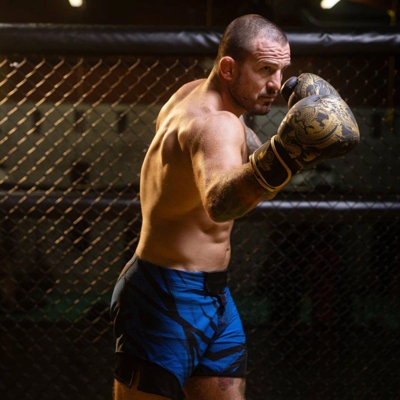 8oz Boxing Gloves - Gold Dragon - Valor Series rękawice treningowe Your Sports Performance