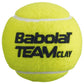 Babolat Team Clay 3pcs tennis balls 501082 Accessories/Balls/Tennis Your Sports Performance