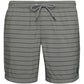 Protest Sharif Beachshorts for men, gray (P2796700/650) Protest